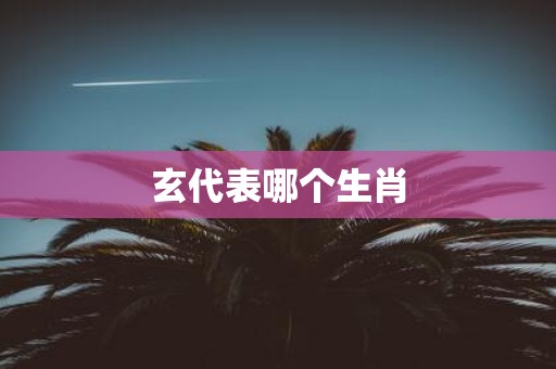 玄代表哪个生肖