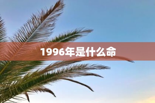 1996年是什么命