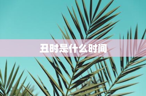 丑时是什么时间