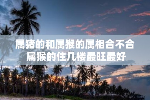 属猪的和属猴的属相合不合 属猴的住几楼最旺最好