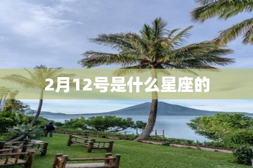 2月12号是什么星座的