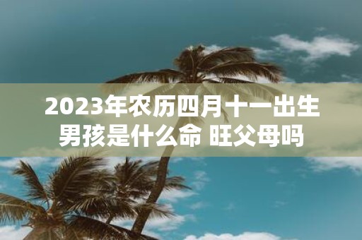 2025年农历四月十一出生男孩是什么命 旺父母吗