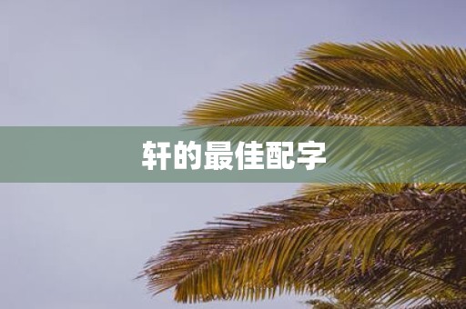 轩的最佳配字
