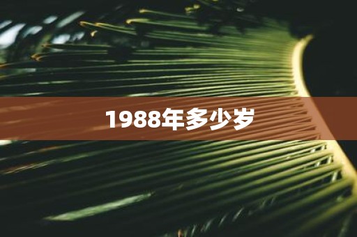 1988年多少岁