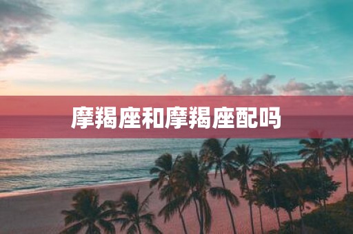 摩羯座和摩羯座配吗