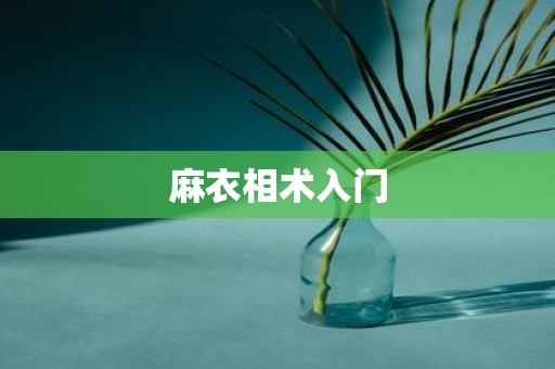 麻衣相术入门