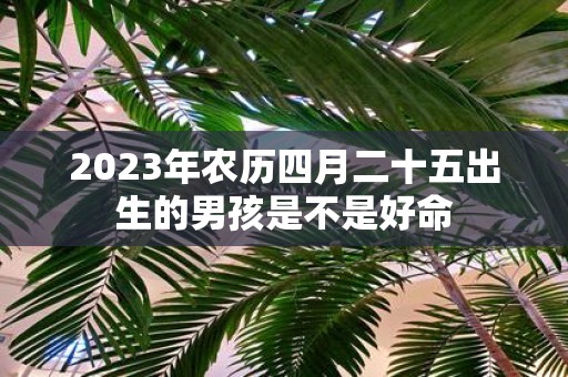2025年农历四月二十五出生的男孩是不是好命
