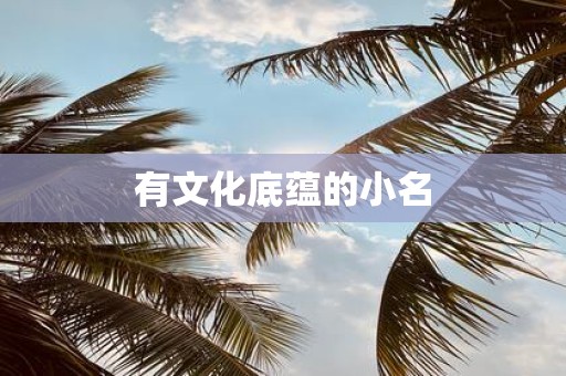 有文化底蕴的小名