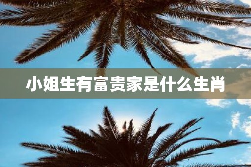 小姐生有富贵家是什么生肖