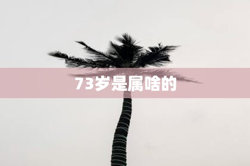 73岁是属啥的