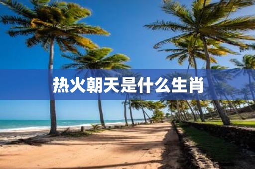 热火朝天是什么生肖