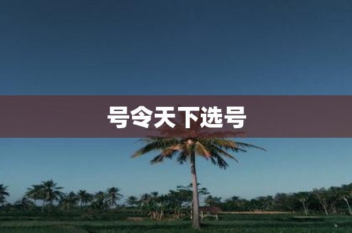 号令天下选号