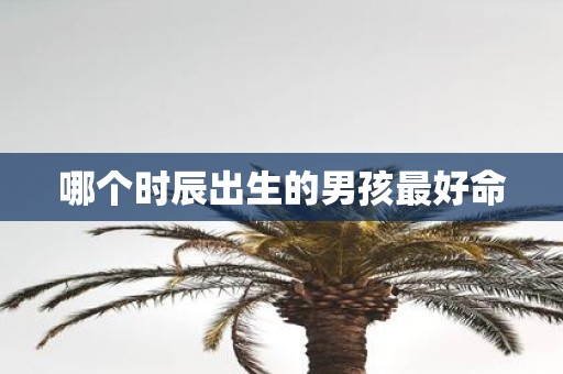 哪个时辰出生的男孩最好命