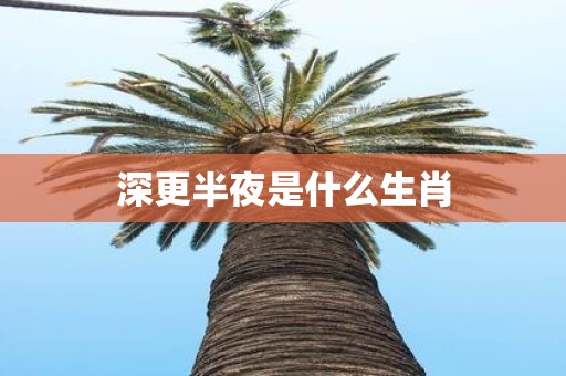 深更半夜是什么生肖