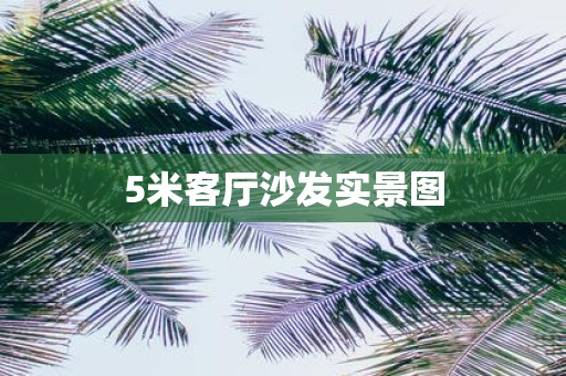 5米客厅沙发实景图