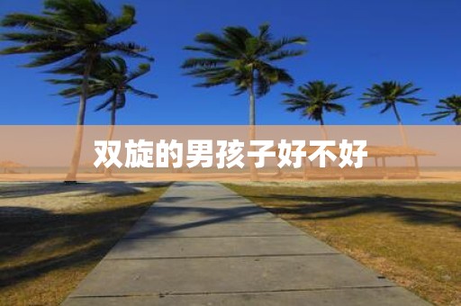 双旋的男孩子好不好