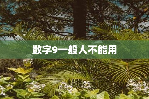 数字9一般人不能用