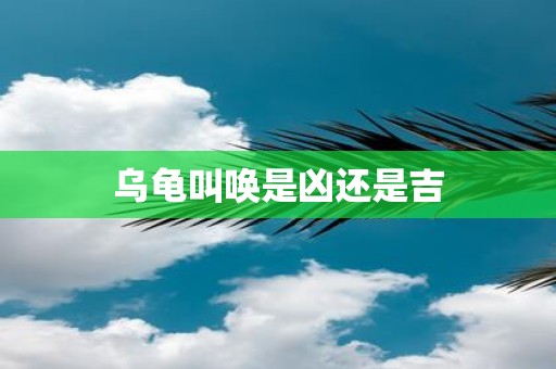 乌龟叫唤是凶还是吉