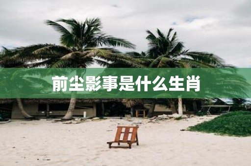 前尘影事是什么生肖