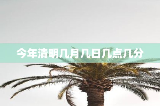 今年清明几月几日几点几分