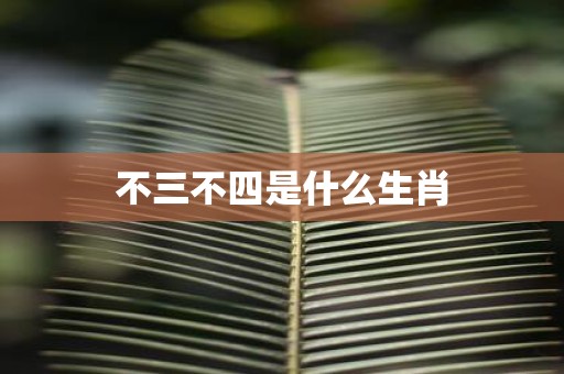 不三不四是什么生肖