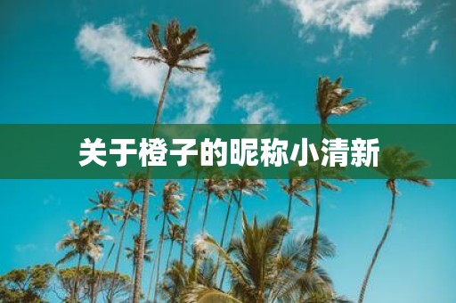 关于橙子的昵称小清新