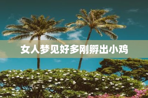 女人梦见好多刚孵出小鸡