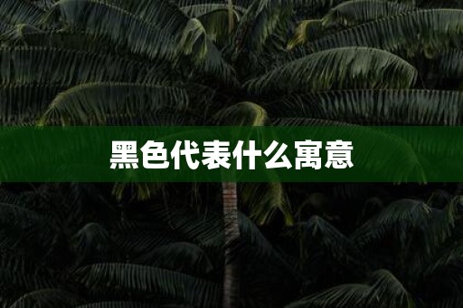 黑色代表什么寓意