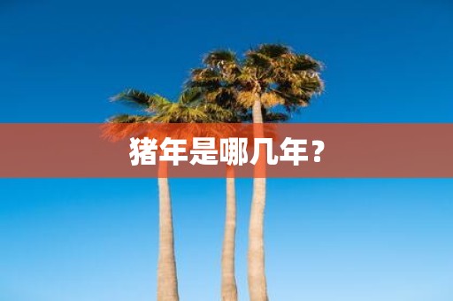 猪年是哪几年？