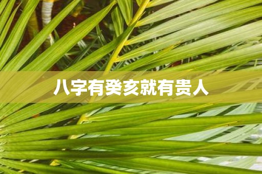 八字有癸亥就有贵人