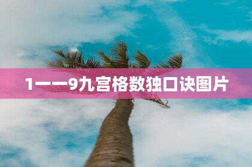 1一一9九宫格数独口诀图片