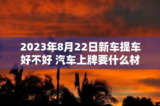2025年8月22日新车提车好不好 汽车上牌要什么材料