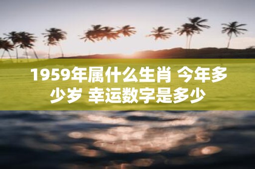 1959年属什么生肖 今年多少岁 幸运数字是多少