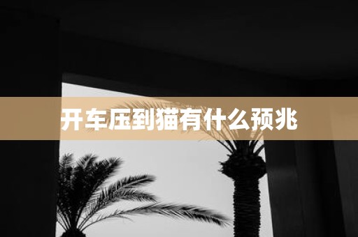 开车压到猫有什么预兆