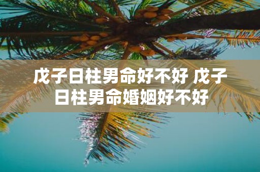 戊子日柱男命好不好 戊子日柱男命婚姻好不好