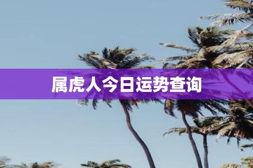 属虎人今日运势查询