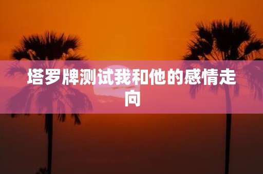 塔罗牌测试我和他的感情走向