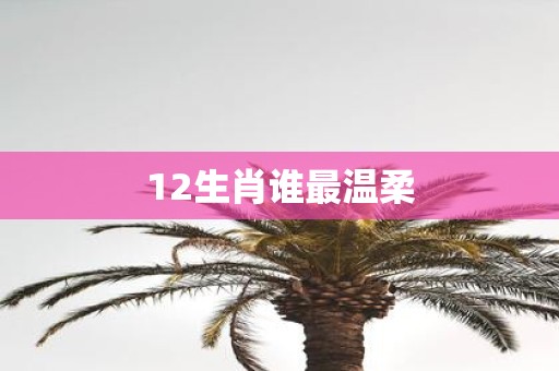 12生肖谁最温柔