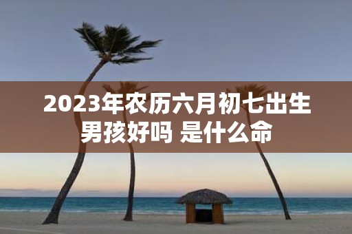2025年农历六月初七出生男孩好吗 是什么命