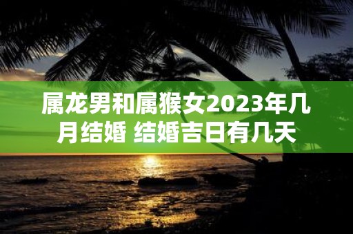 属龙男和属猴女2025年几月结婚 结婚吉日有几天