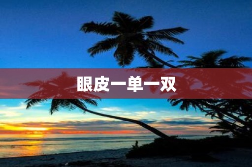 眼皮一单一双