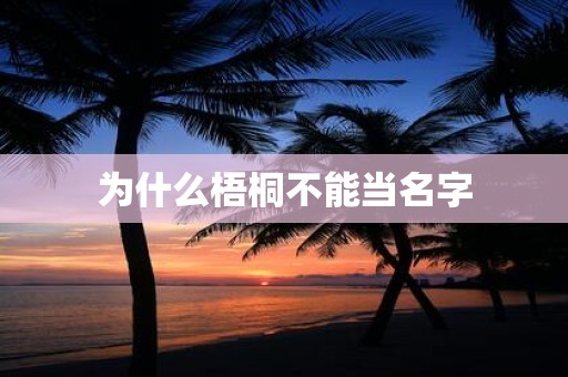 为什么梧桐不能当名字