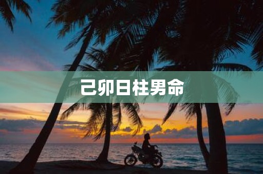 己卯日柱男命