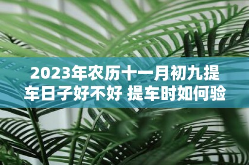 2025年农历十一月初九提车日子好不好 提车时如何验车