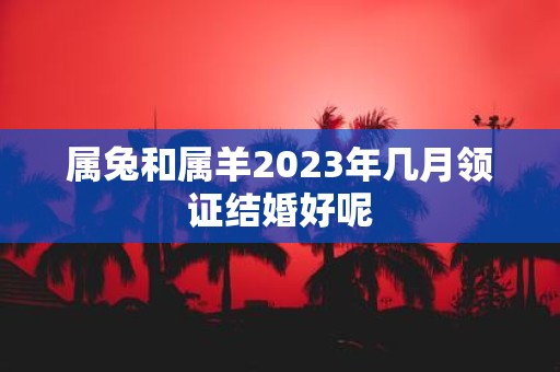 属兔和属羊2025年几月领证结婚好呢