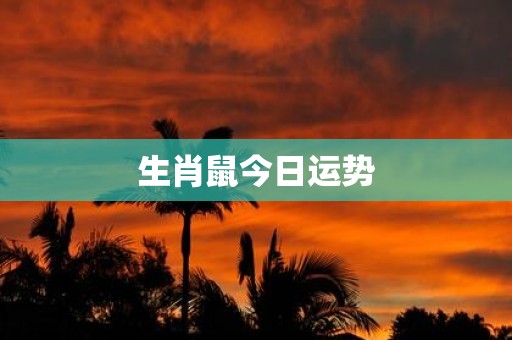 生肖鼠今日运势