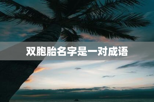 双胞胎名字是一对成语