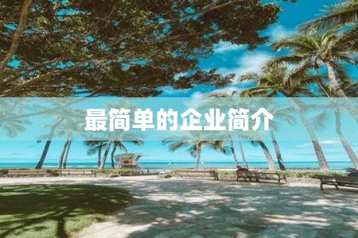 最简单的企业简介