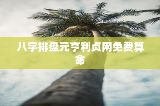 八字排盘元亨利贞网免费算命