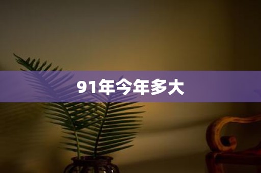 91年今年多大